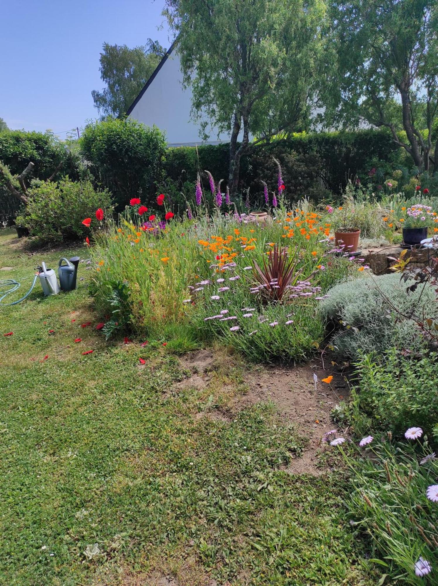 La Trinité-sur-Mer Grand Studio Duplex Avec Jardin מראה חיצוני תמונה